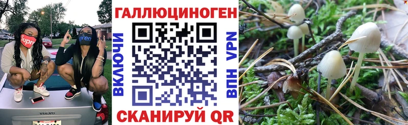 Галлюциногенные грибы Psilocybe  Бикин 